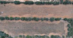 Land to built located next to Ses Salines