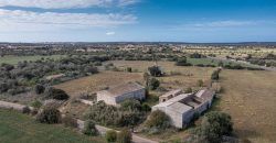 Land for sale next to Ses Salines with old buildings
