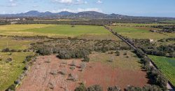 Terreno rústico en venta junto a Ses Salines