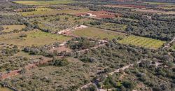 Terreno rústico con una excelente ubicación y preciosas vistas en venta en Ses Salines