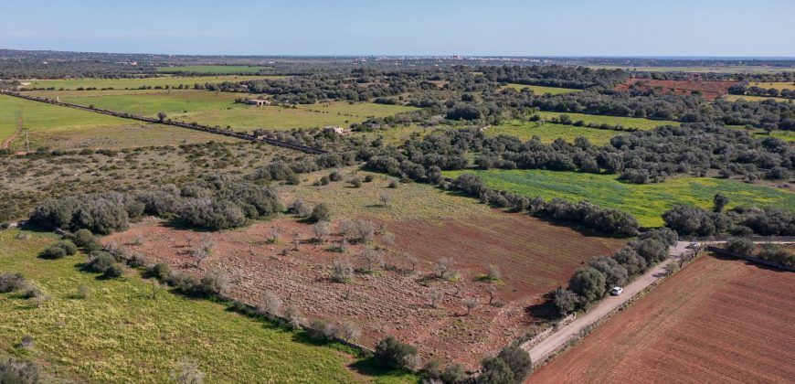 Terreno rústico en venta junto a Ses Salines
