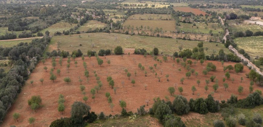 Land for sale with building project in Ses Salines