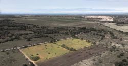 Terreno en venta junto a Ses Salines