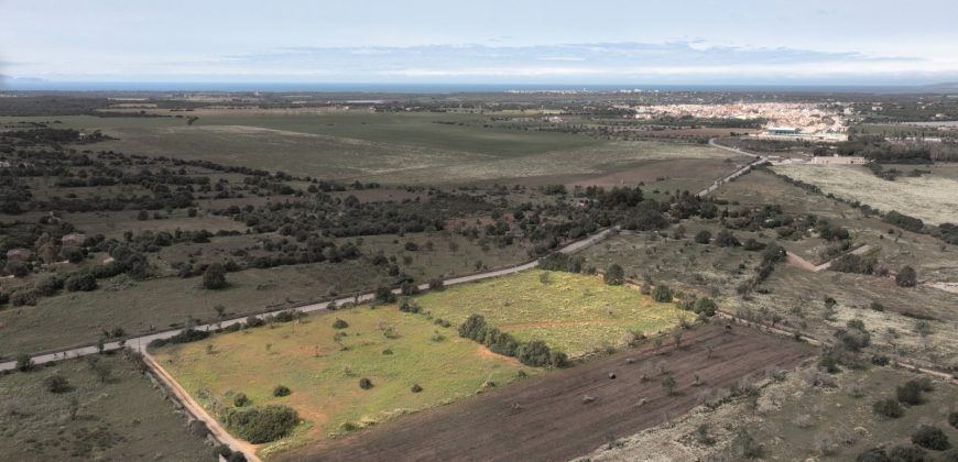 Terreno en venta junto a Ses Salines