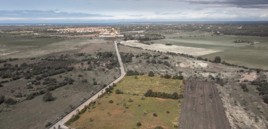 Terreno en venta junto a Ses Salines