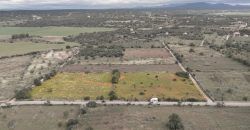 Terreno en venta junto a Ses Salines