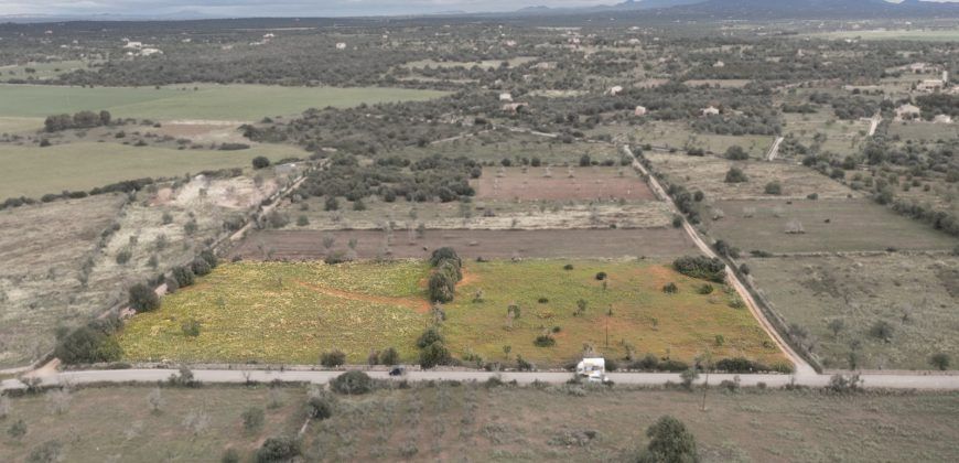Terreno en venta junto a Ses Salines