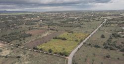 Terreno en venta junto a Ses Salines