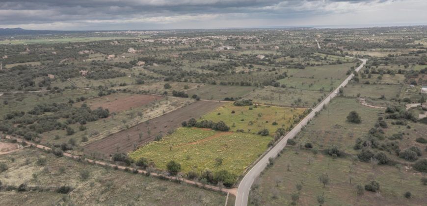 Terreno en venta junto a Ses Salines