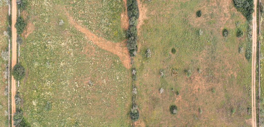 Terreno en venta junto a Ses Salines