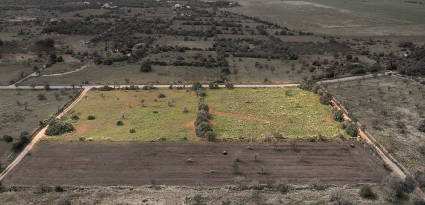 Terreno en venta junto a Ses Salines