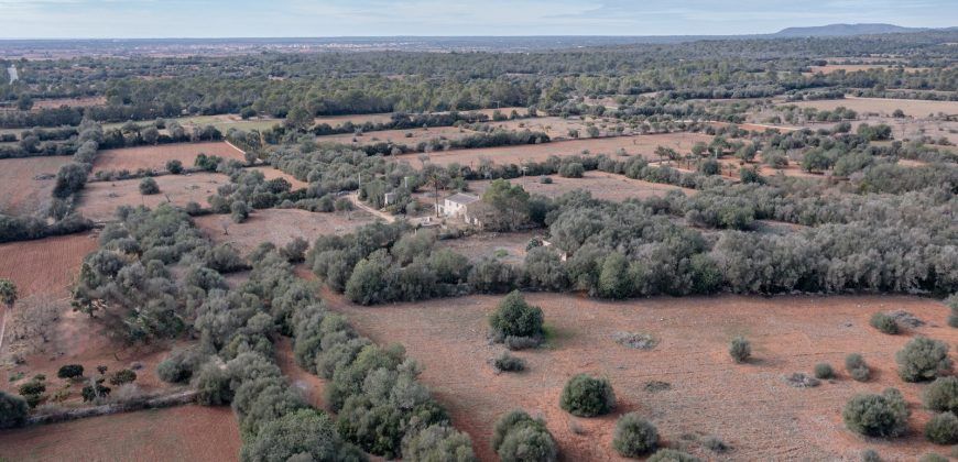 Casa de campo a renovar en venta ubicada junto a Campos