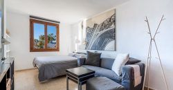 Spacious apartment for sale in Palma de Majorca