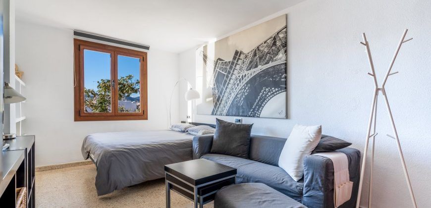 Spacious apartment for sale in Palma de Majorca