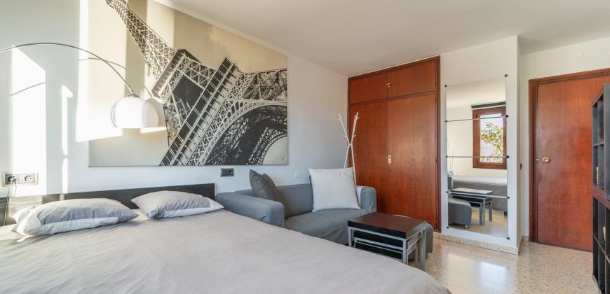 Spacious apartment for sale in Palma de Majorca
