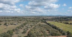 Building land for sale with electrical supply next to Ses Salines