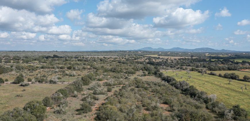 Building land for sale with electrical supply next to Ses Salines