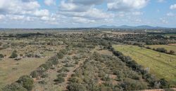 Building land for sale with electrical supply next to Ses Salines