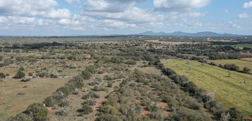 Building land for sale with electrical supply next to Ses Salines