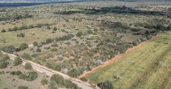 Building land for sale with electrical supply next to Ses Salines