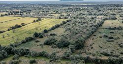 Building land for sale with electrical supply next to Ses Salines