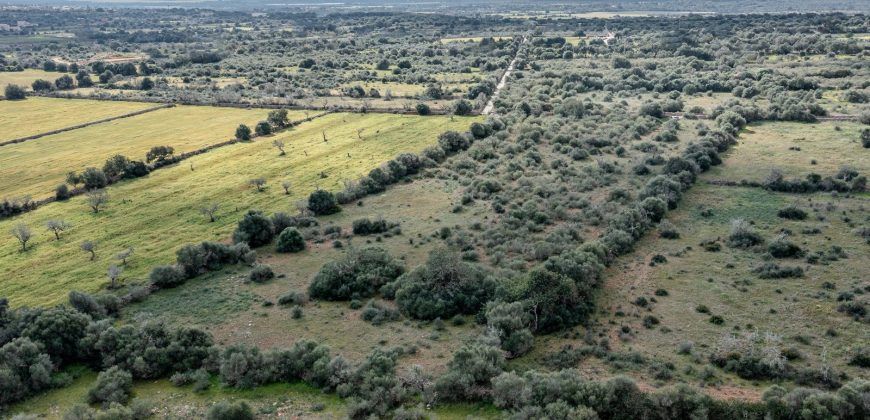 Building land for sale with electrical supply next to Ses Salines