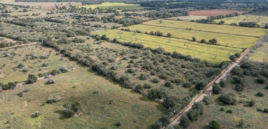 Building land for sale with electrical supply next to Ses Salines