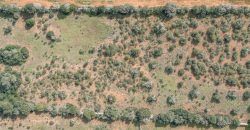 Building land for sale with electrical supply next to Ses Salines