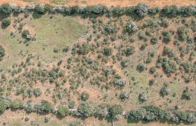 Terreno edificable en venta con luz de red junto a Ses Salines