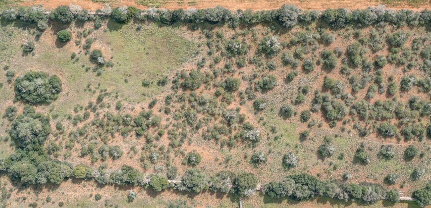 Building land for sale with electrical supply next to Ses Salines