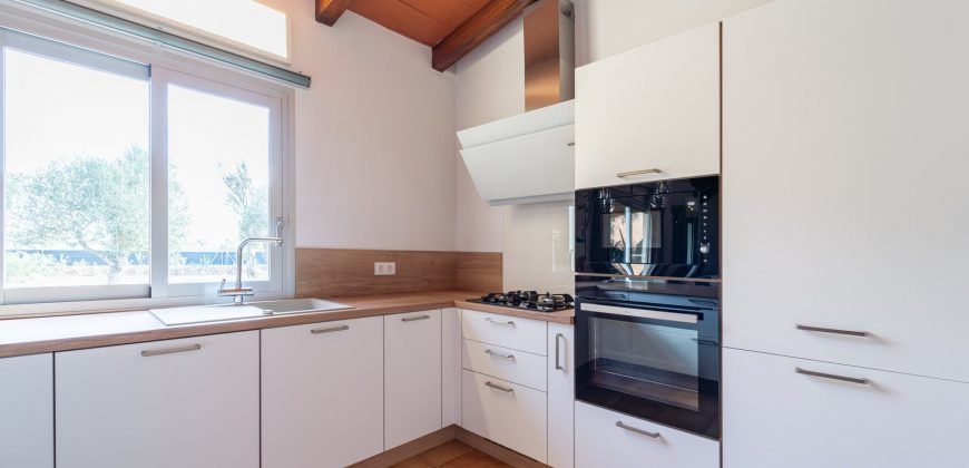 Finca zu vermieten in Campos