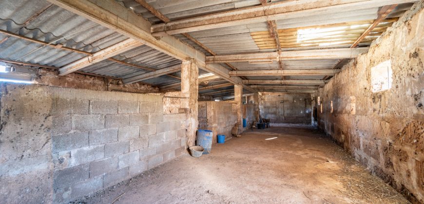 Country Estate for sale next to Llucmajor