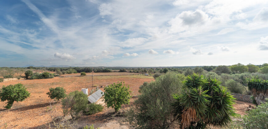 Casa de campo con piscina en venta en Ses Salines