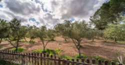 Finca zu verkaufen mit Meerblick und pool in Colonia Sant Jordi