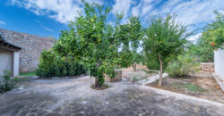Casa de pueblo señorial en venta en Ses Salines: 6 habitaciones, gran jardín y terrazas