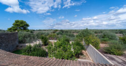 Casa de pueblo señorial en venta en Ses Salines: 6 habitaciones, gran jardín y terrazas
