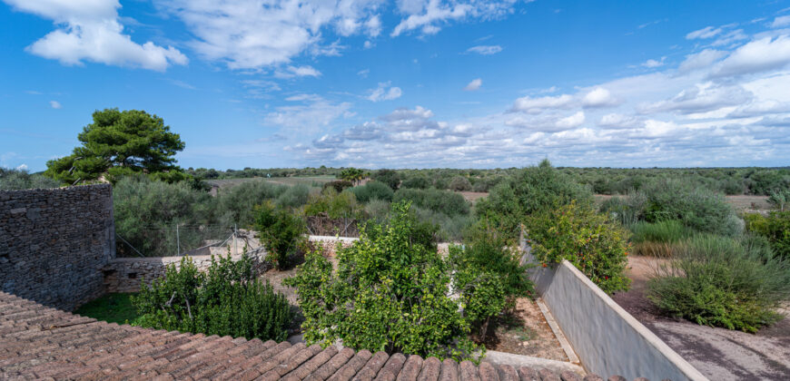 Casa de pueblo señorial en venta en Ses Salines: 6 habitaciones, gran jardín y terrazas