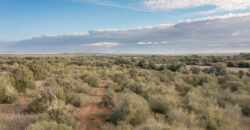 Rural plot for sale with project and power near Ses Salines in Campos