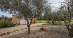 Espectacular Villa de Lujo en Ses Salines: Arquitectura tradicional, interior de diseño y privacidad absoluta