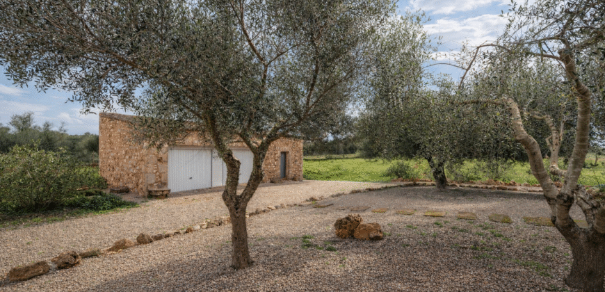 Espectacular Villa de Lujo en Ses Salines: Arquitectura tradicional, interior de diseño y privacidad absoluta