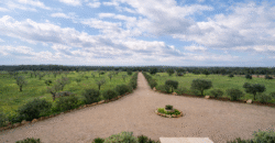 Espectacular Villa de Lujo en Ses Salines: Arquitectura tradicional, interior de diseño y privacidad absoluta