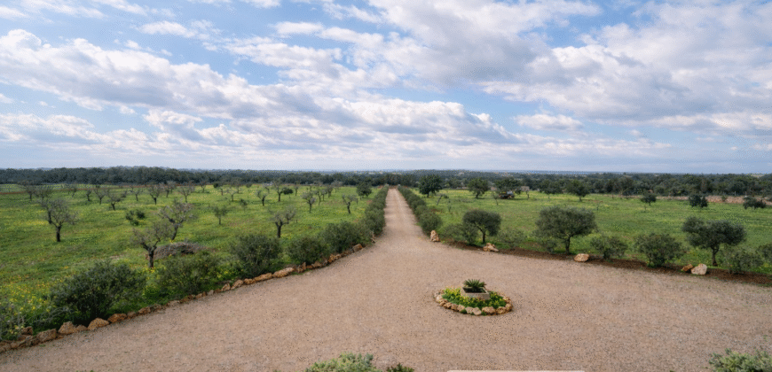 Espectacular Villa de Lujo en Ses Salines: Arquitectura tradicional, interior de diseño y privacidad absoluta