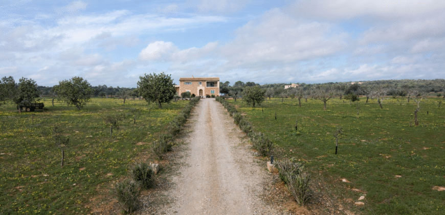 Espectacular Villa de Lujo en Ses Salines: Arquitectura tradicional, interior de diseño y privacidad absoluta