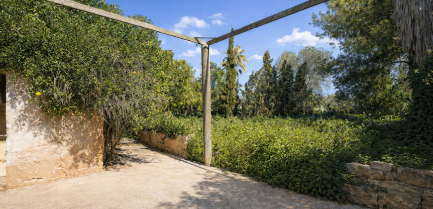 Einzigartige Gelegenheit in Ses Salines: Historisches Dorfhaus zur Renovierung mit riesigem 831 m² Grundstück und Zugang von zwei Straßen