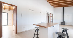 Landhaus mit Pool zur Miete in Ses Salines
