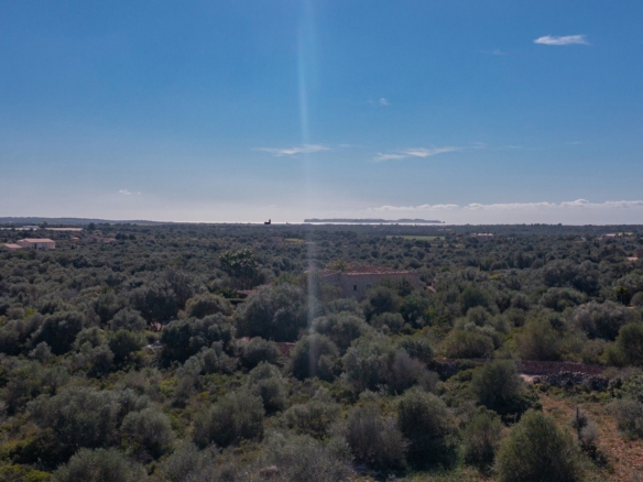 Terreno rústico con vistas al mar en Ses Salines, Mallorca
