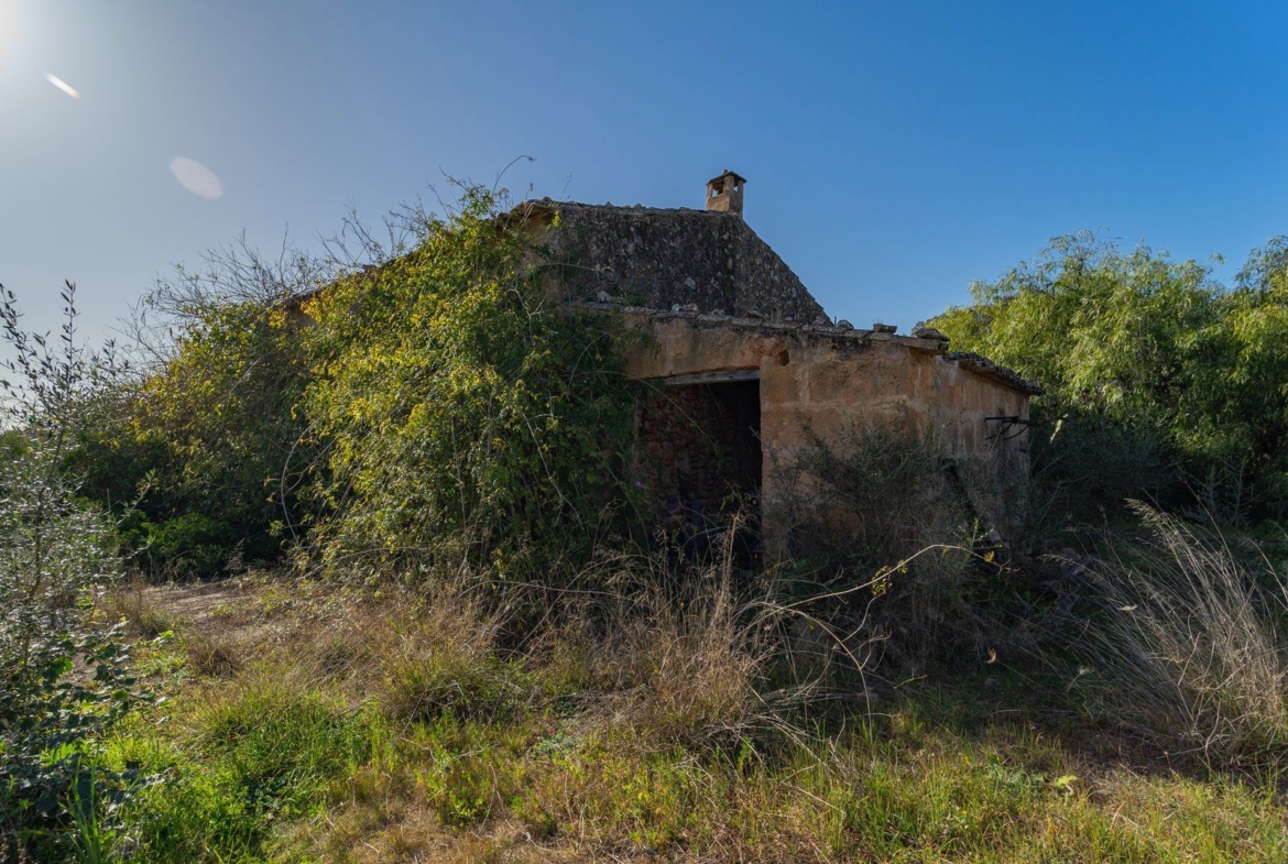 Finca rústica junto a Cala Pí — 136.400 m², término Llucmajor, a 10 min de la costa