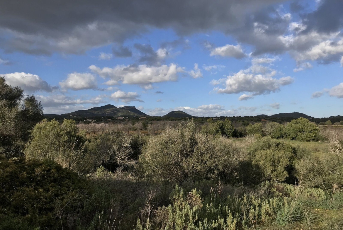 Country Home Plot with Project Near Santanyí: 20,000 m² Land
