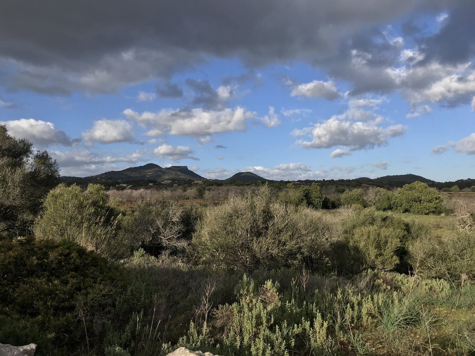 1-Villasyfincasmallorca-3.jpg Country Home Plot with Project Near Santanyí: 20,000 m² Land