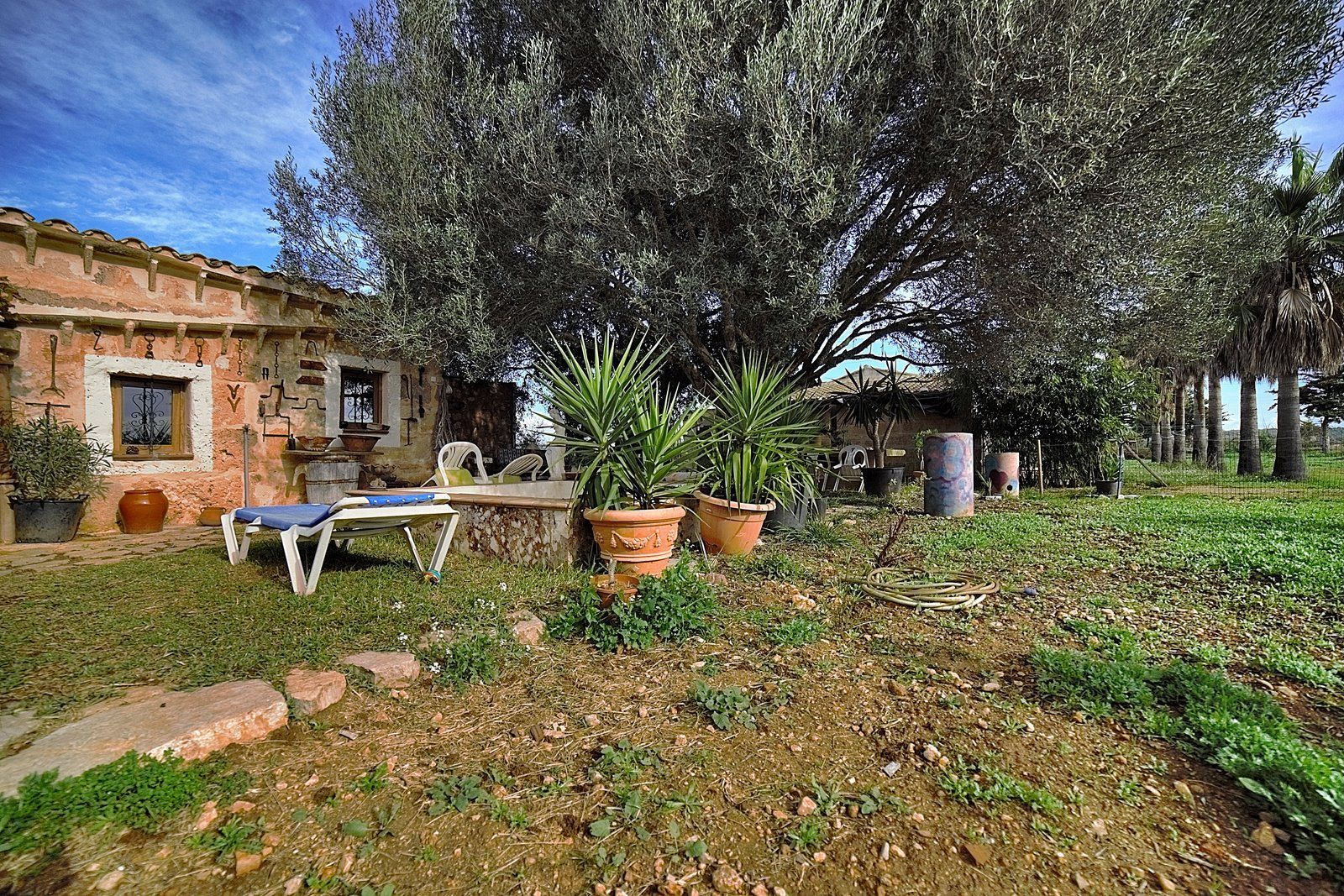 1-Villasyfincasmallorca-6.jpg Rustic Finca Near Campos, South Mallorca | 21,900 m² Land